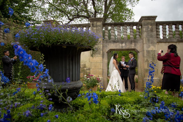 dallas chinese wedding photographer